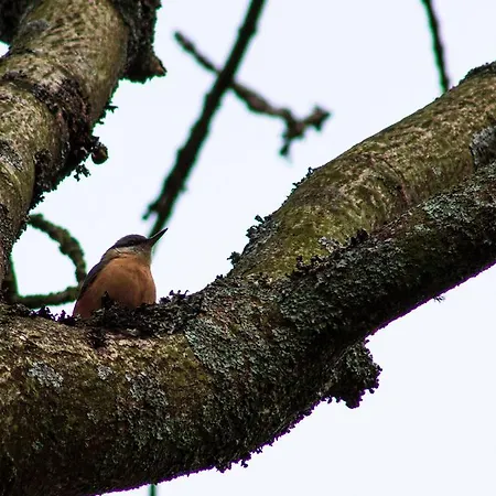 The Church House 2* Torver