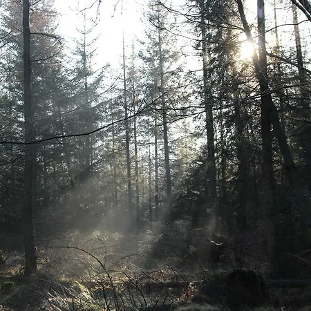 宾馆 The Church House 2*