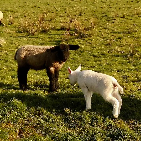 The Church House Han/Misafirhane